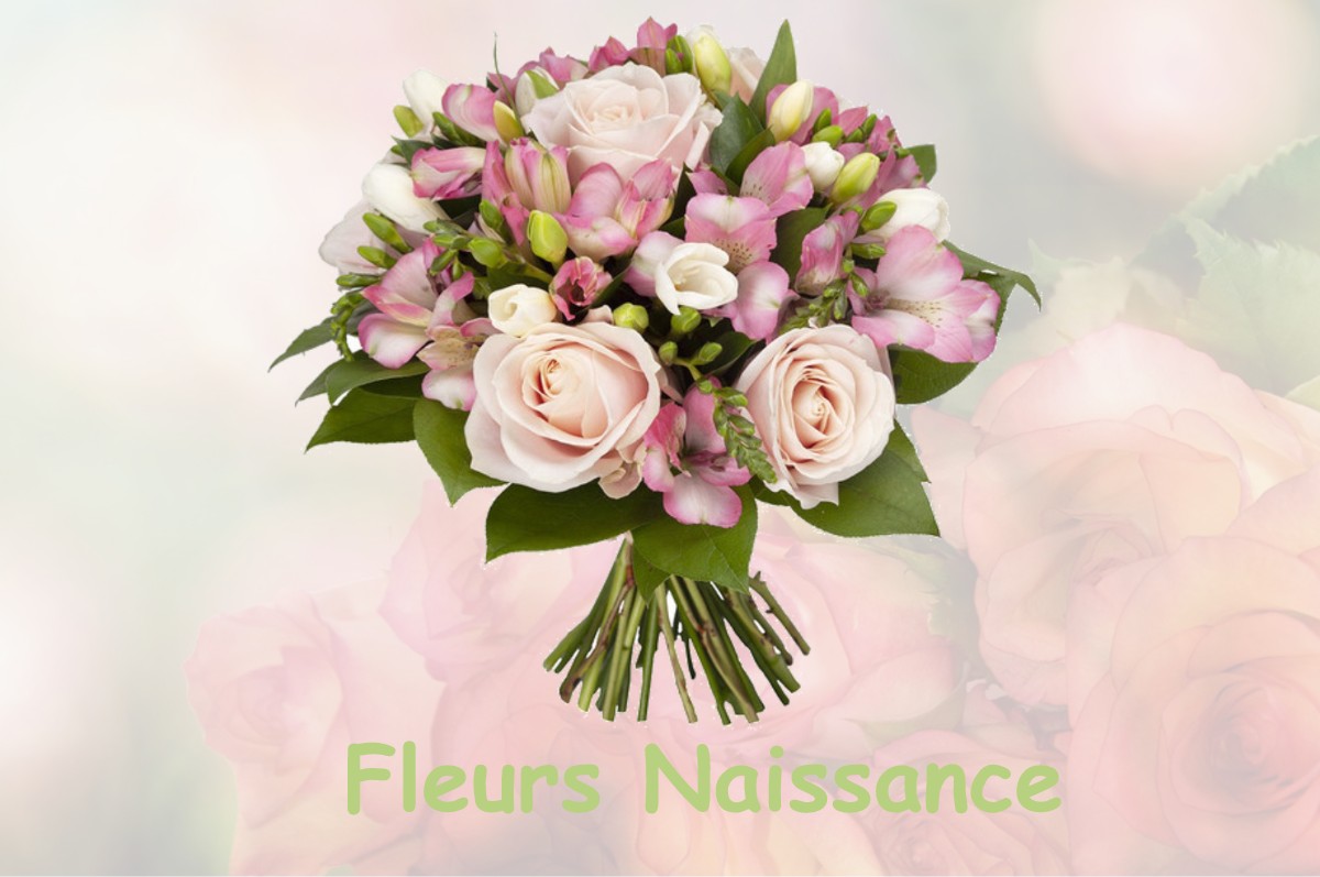 fleurs naissance FREVILLE-DU-GATINAIS