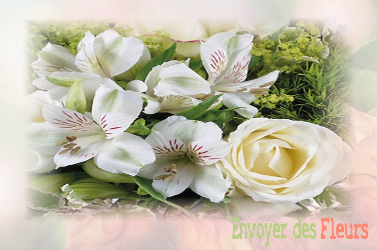 envoyer des fleurs à à FREVILLE-DU-GATINAIS