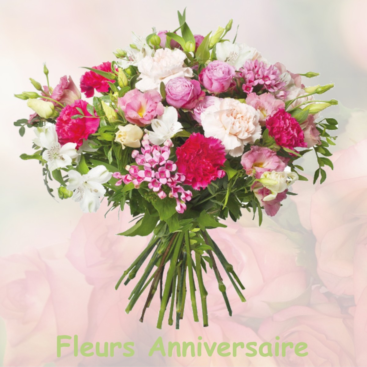 fleurs anniversaire FREVILLE-DU-GATINAIS